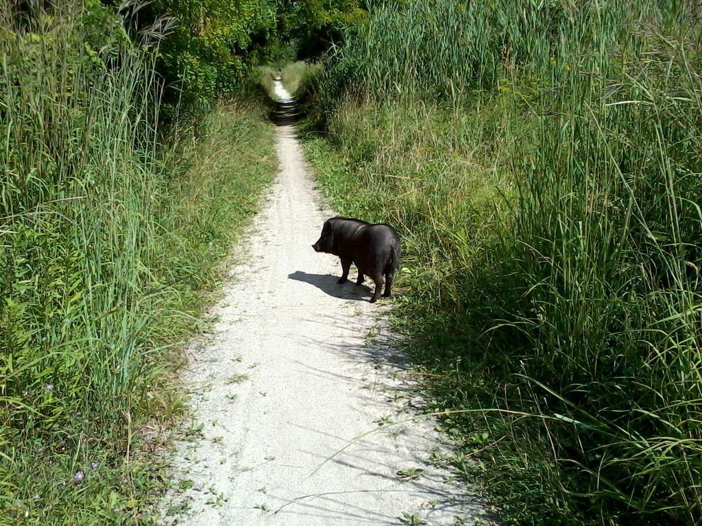 Photo0827_zpsgwycujag.jpg