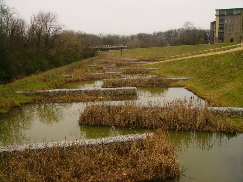 Watercourse-2.jpg