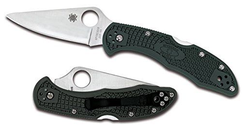 delica.jpg