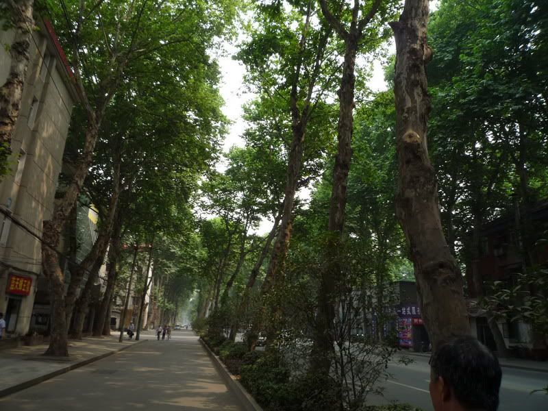 P1070484.jpg