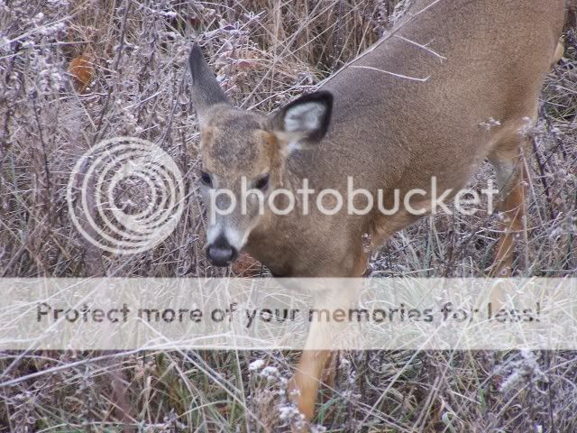100_2474.jpg