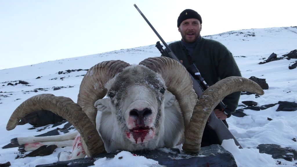 Rams07040.jpg
