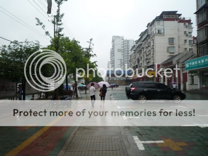 P1150146.jpg
