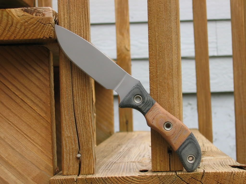 SwampRat-DogSkinnerCustomExtrava-6.jpg