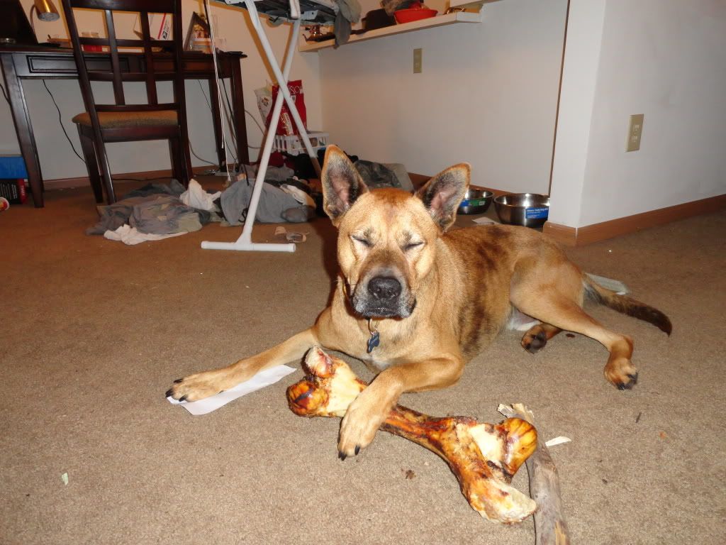 DSC00120.jpg