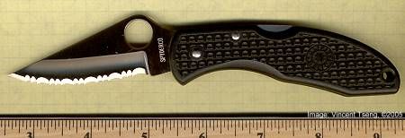 Delica.jpg