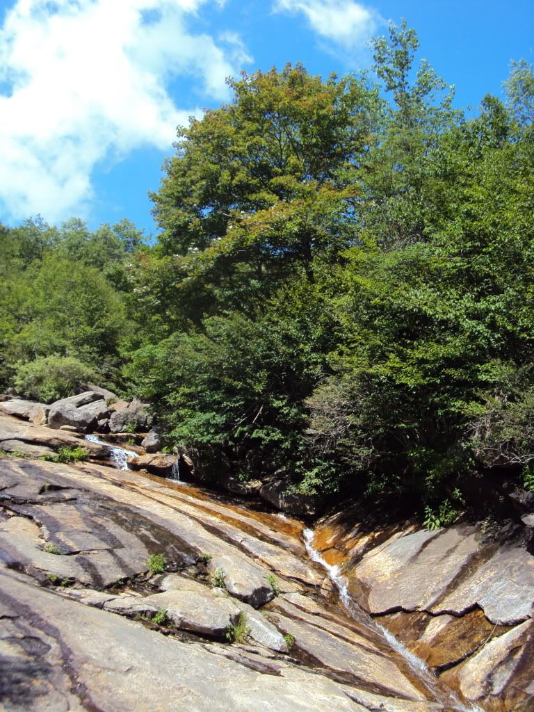 DSC00688.jpg