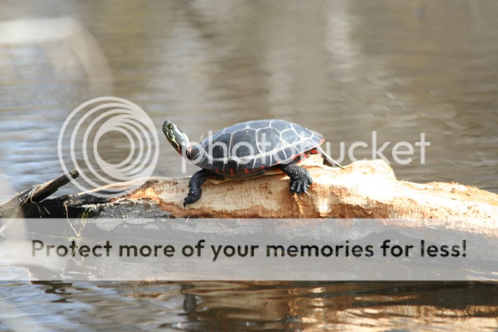 IMG_9789.jpg