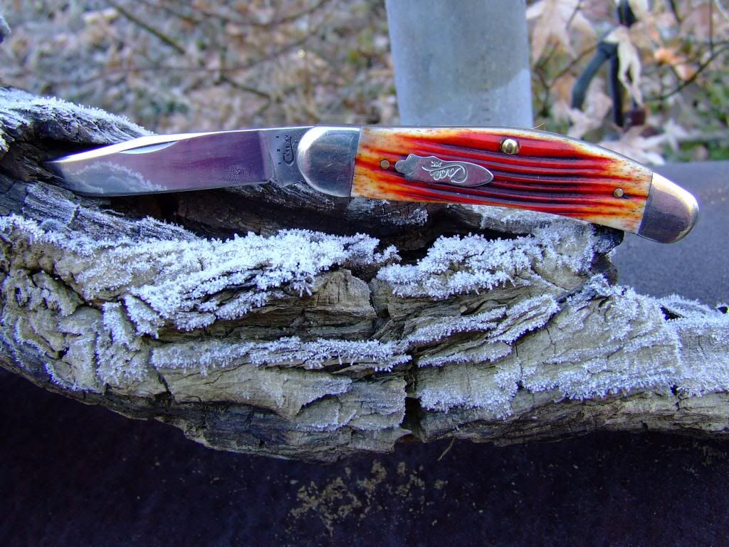 DSCF5725.jpg