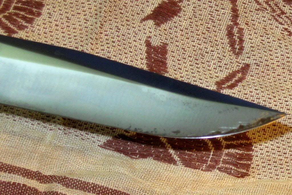 IMG_1392.jpg