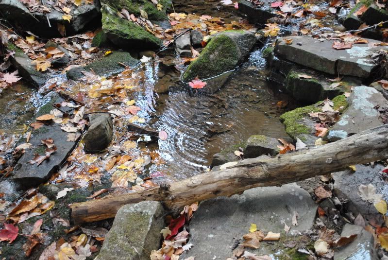 DSC_8245.jpg