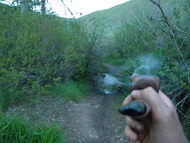 DSCN4106.jpg