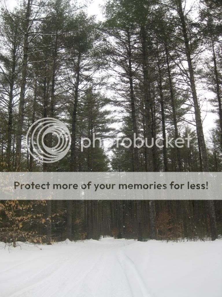 IMG_0139_zps96c30d8d.jpg