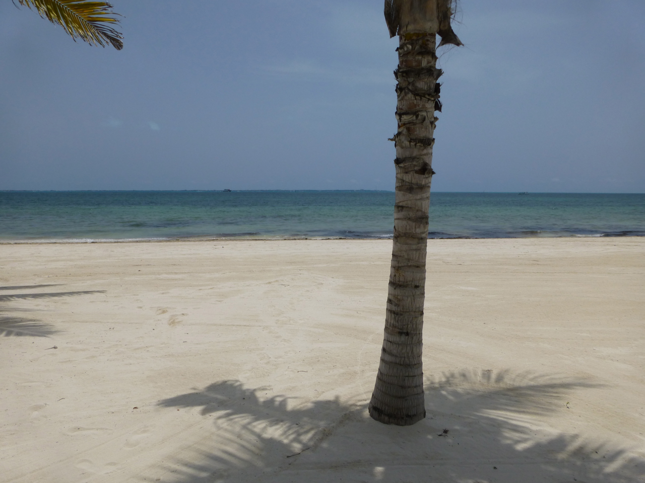 P1070517_zps6d1071eb.png