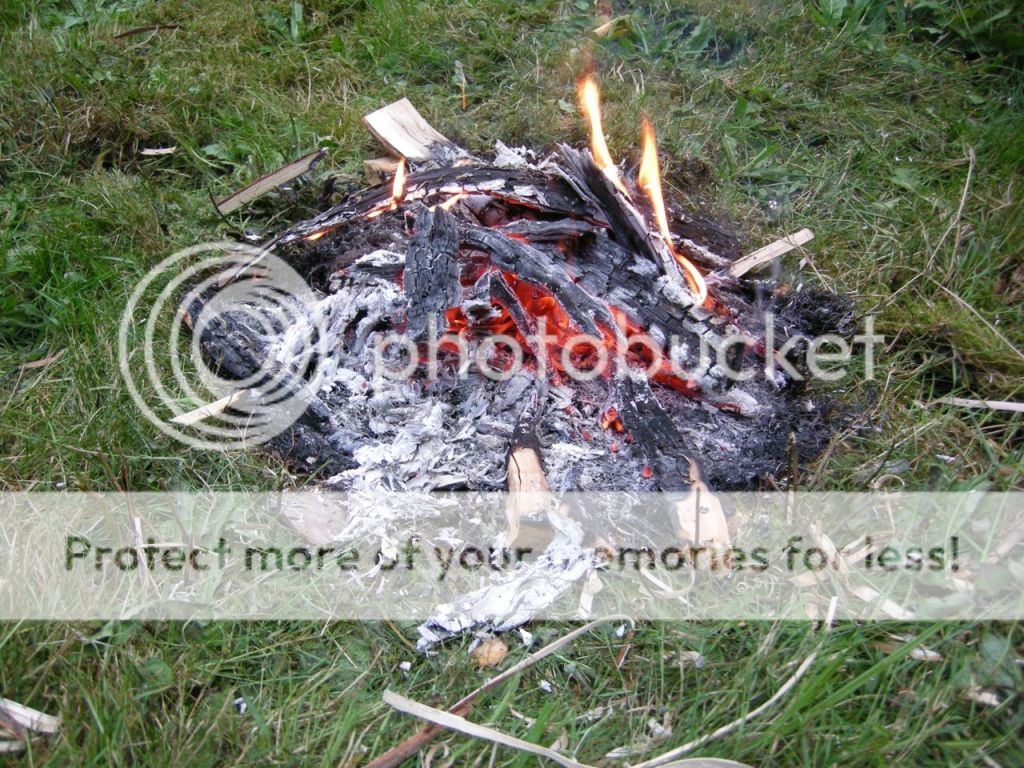 FireContest006.jpg