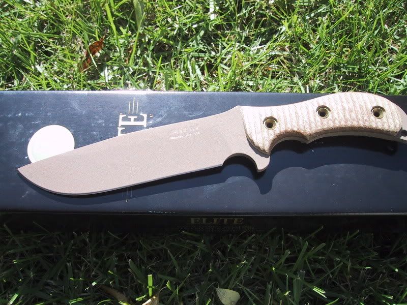 ratsheaths005.jpg