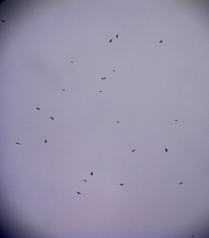 2012.10.01.R0015014.JPG