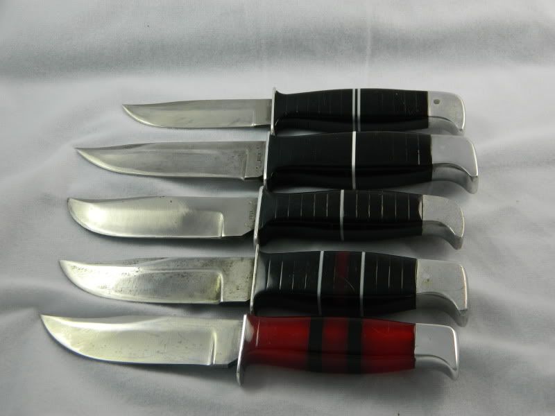 DSCN1557.jpg