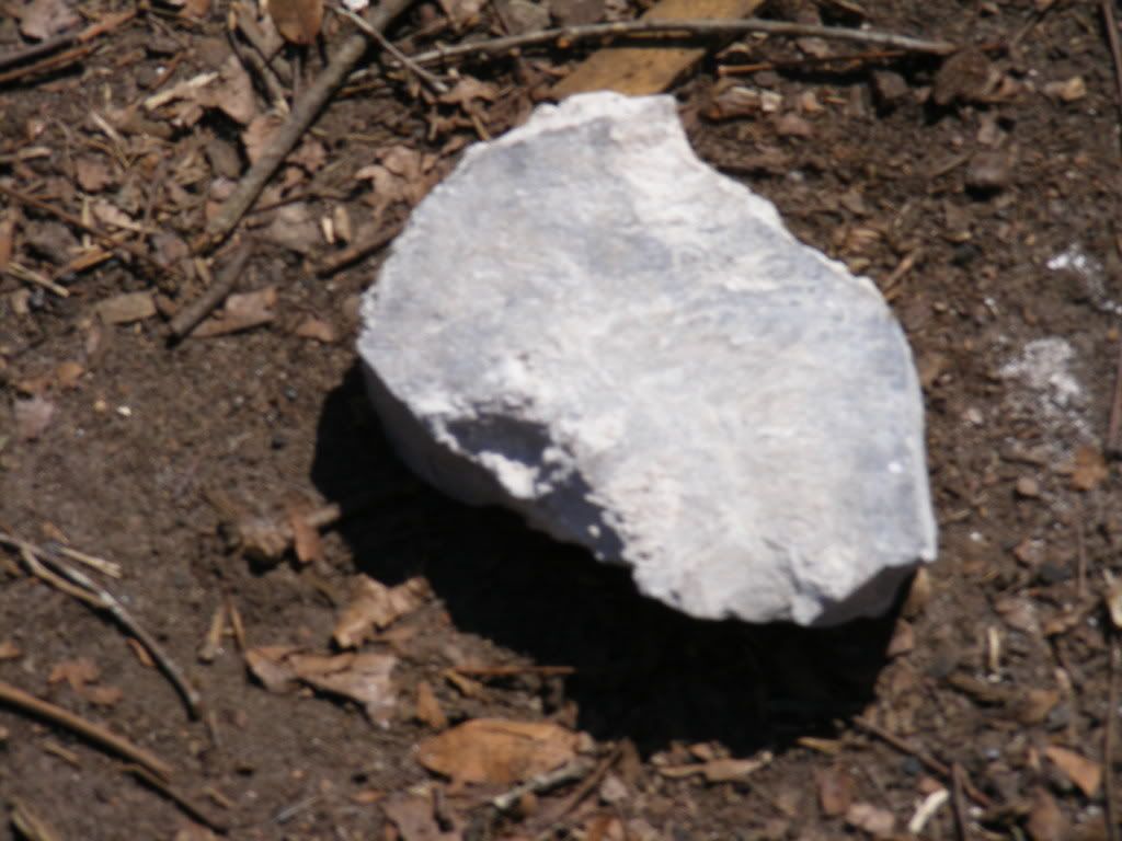 hoghuntfed2009004.jpg