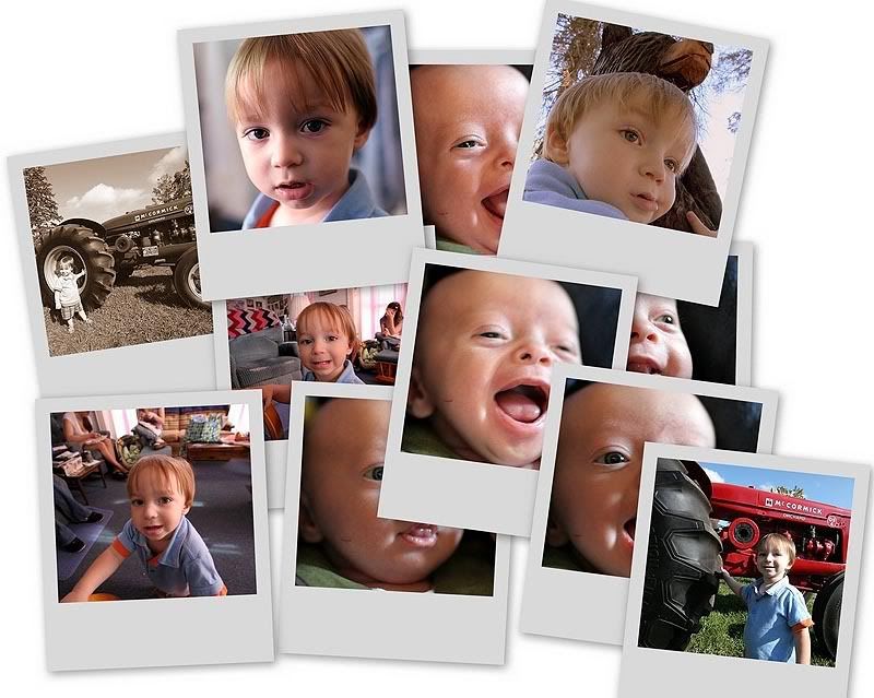 collage1.jpg