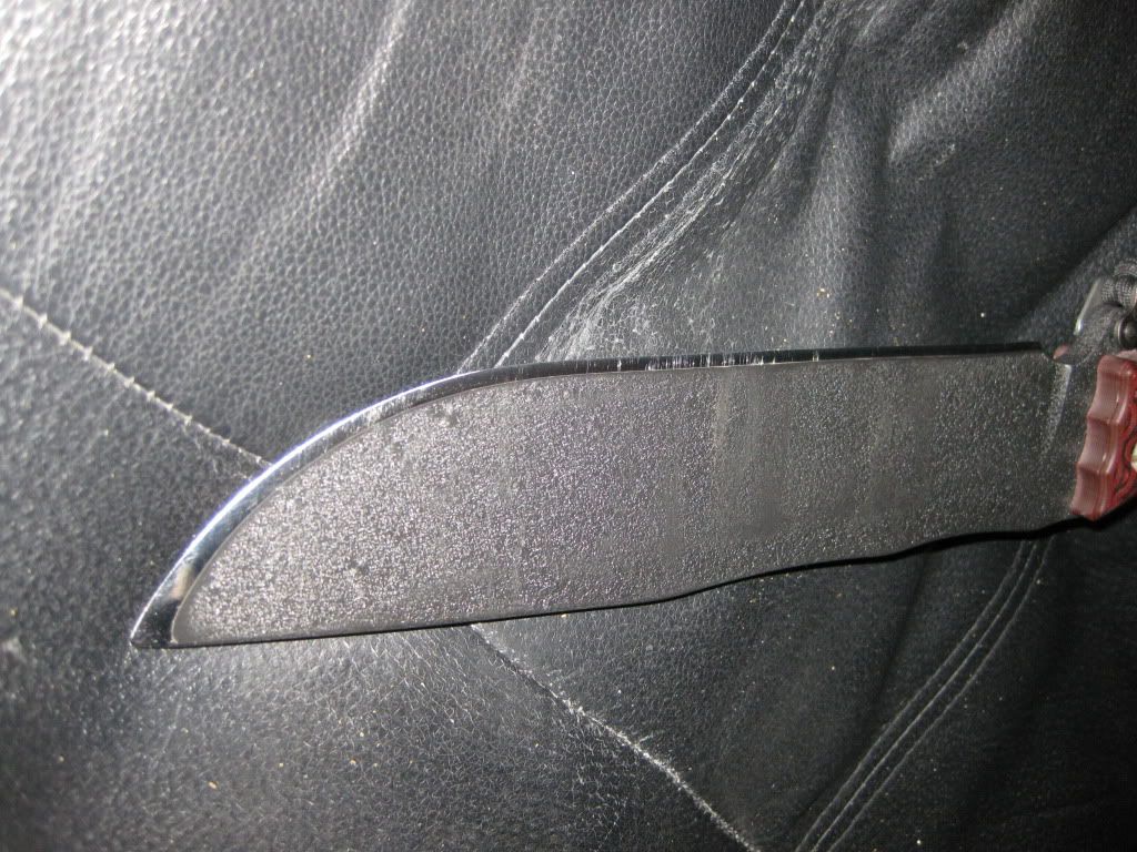 IMG_0944.jpg