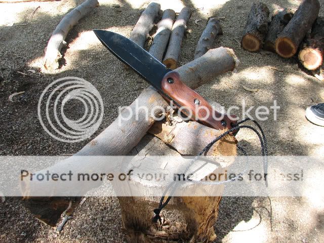 b5.jpg