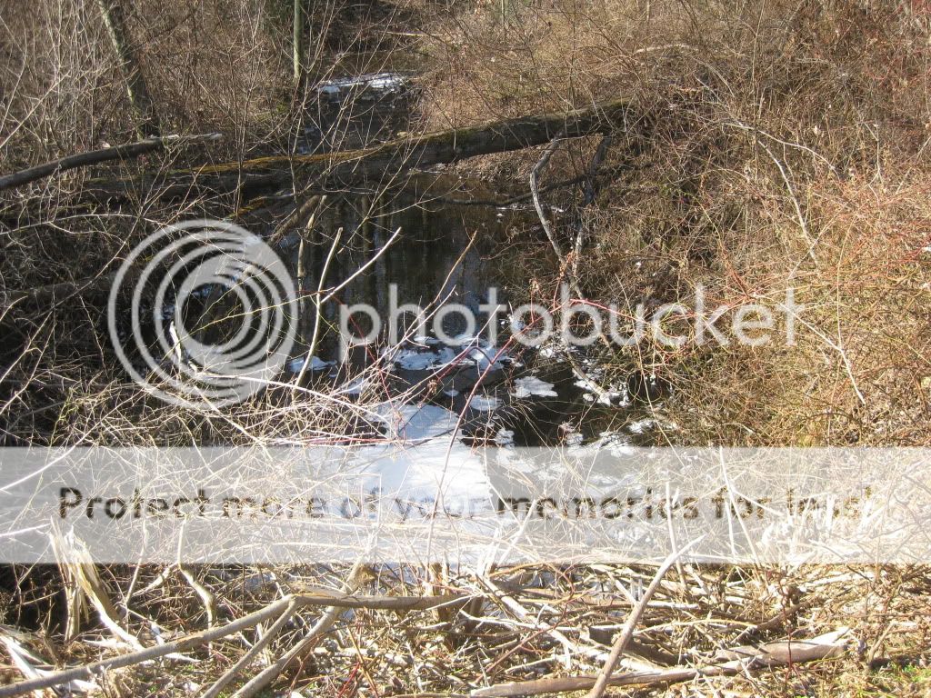 IMG_1135.jpg