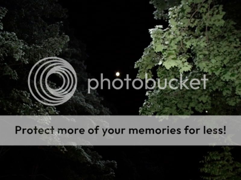 Sept52009016.jpg