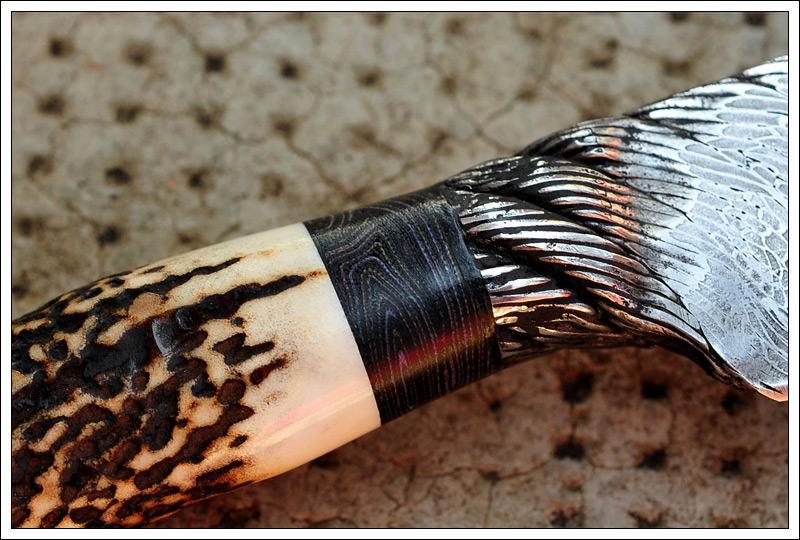 5integralcable5.jpg