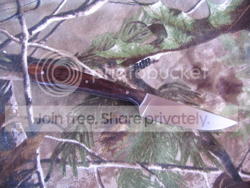 IMG_1395.jpg