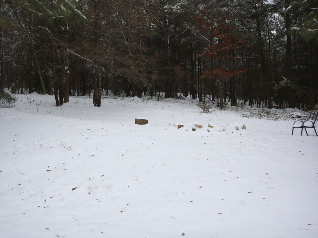 DSC00693.jpg