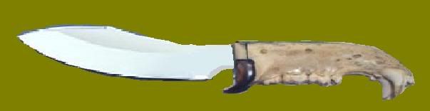 grohmannbear.jpg
