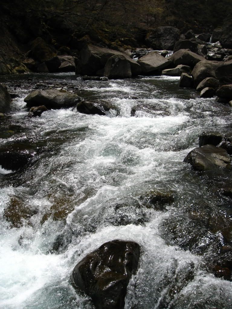 TogataHikeApr2011029.jpg
