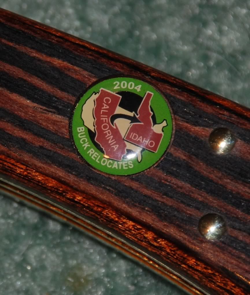 DSC_1364.jpg
