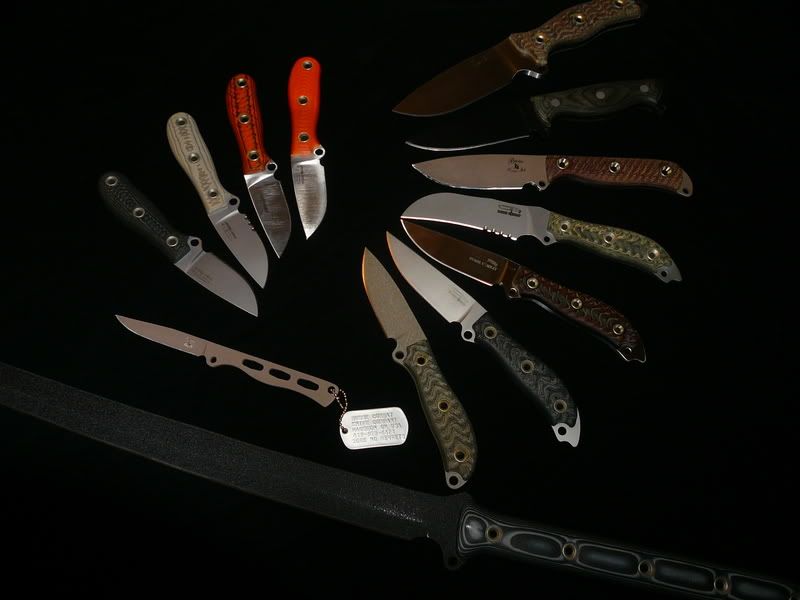 bussecollection003.jpg