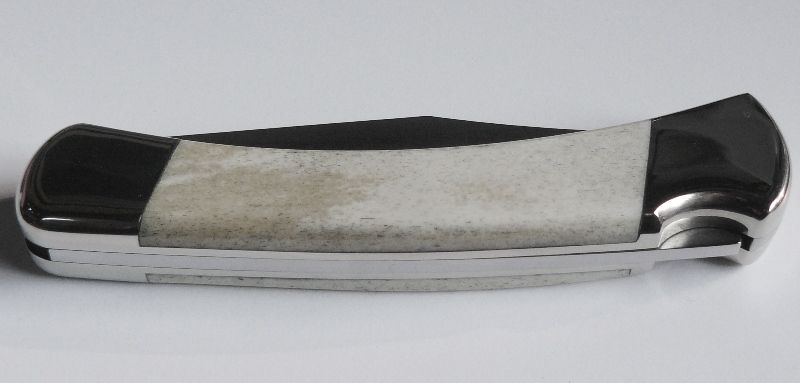 bone110017.jpg