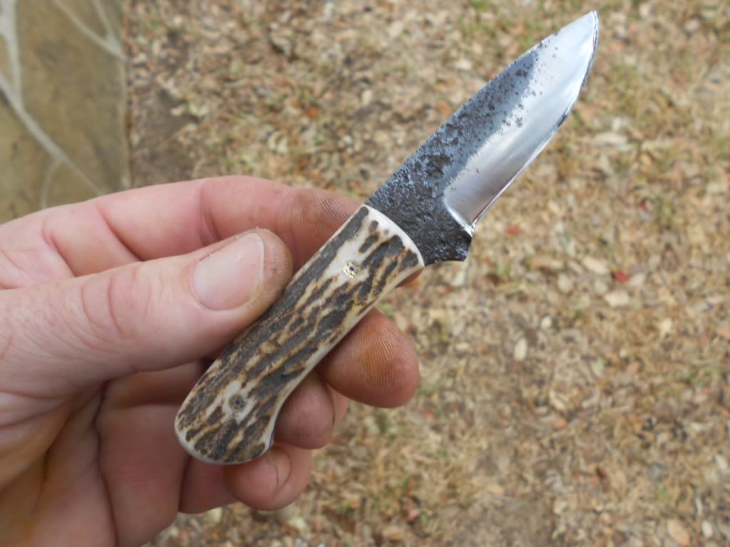 2stagmiserywhipneck073.jpg