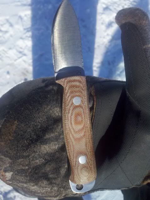 2011-02-02_13-52-53_713.jpg