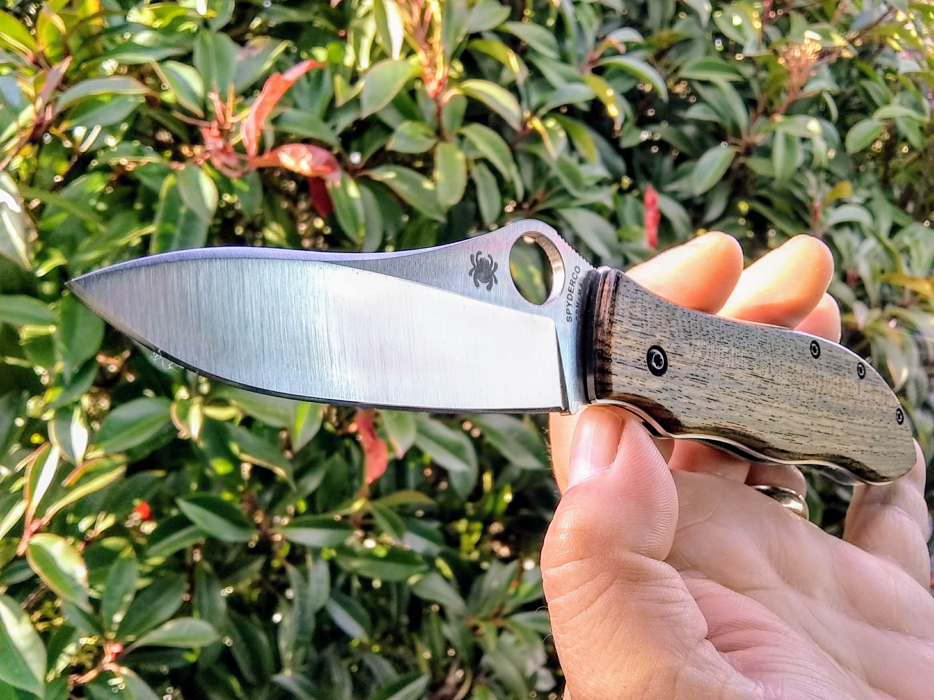 gSs91Ka.jpg