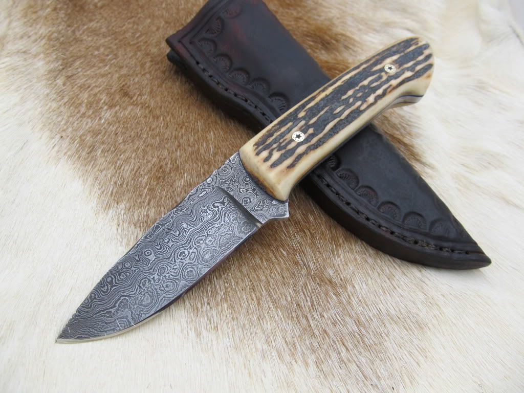 Stagdamascusloveless004.jpg