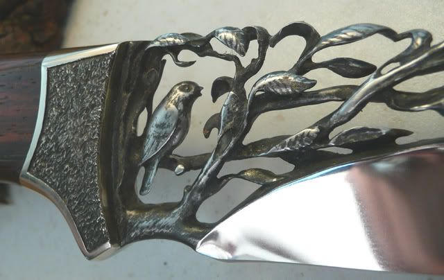 Pajaro5.jpg