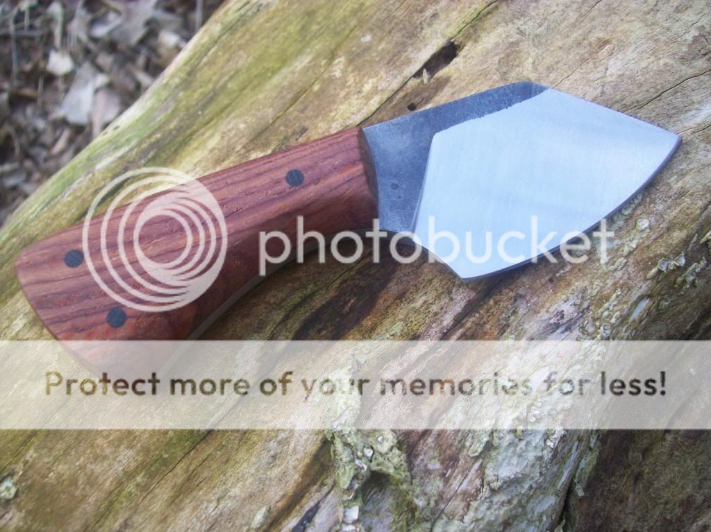 100_8951_zpsb29ffcaa.jpg