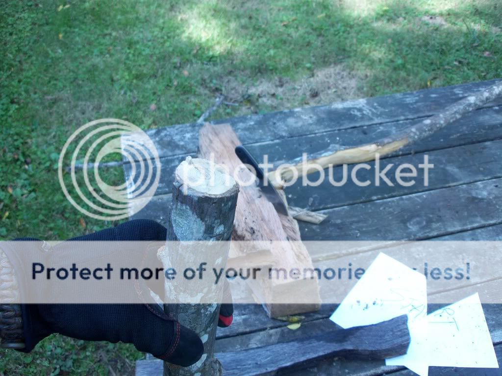 100_3216.jpg
