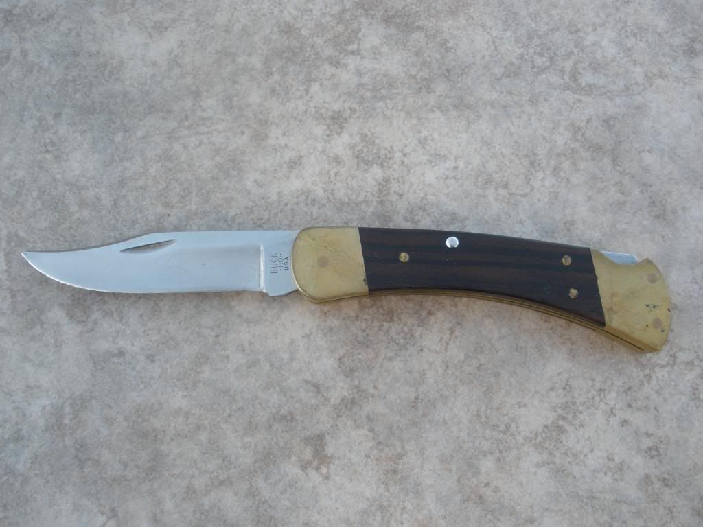 PB221145.jpg