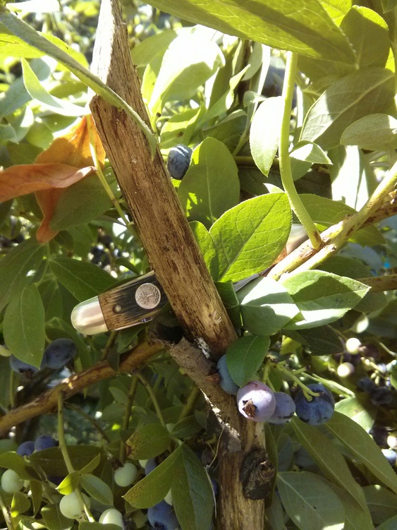 YSBU8rW.jpg