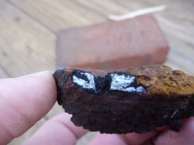 chaga.jpg
