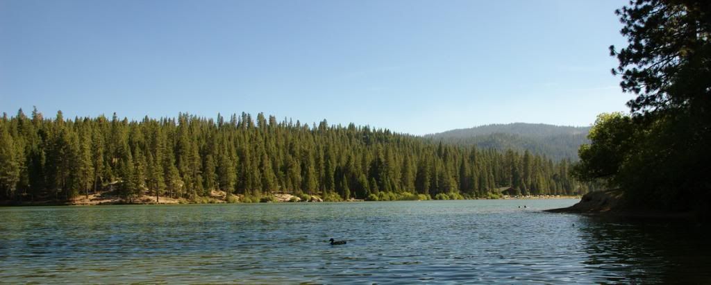 DSC_5854.jpg
