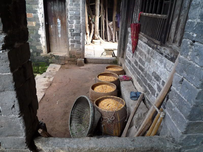 P1000902.jpg