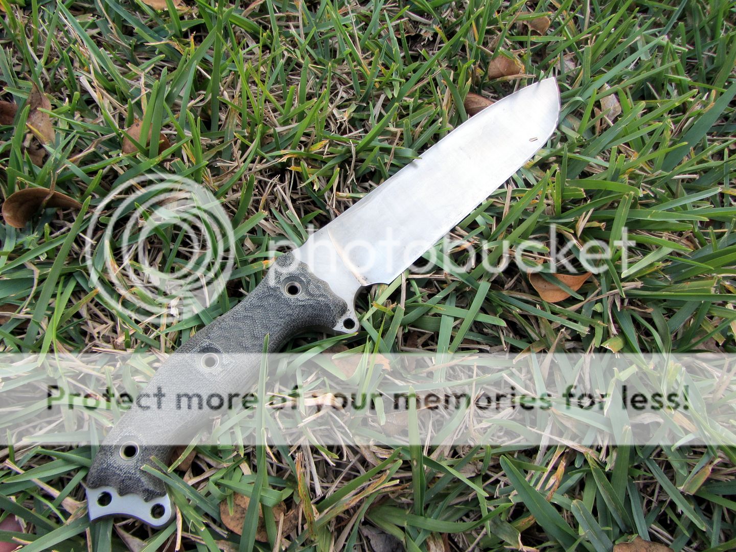 IMG_1181_zps496334fd.jpg