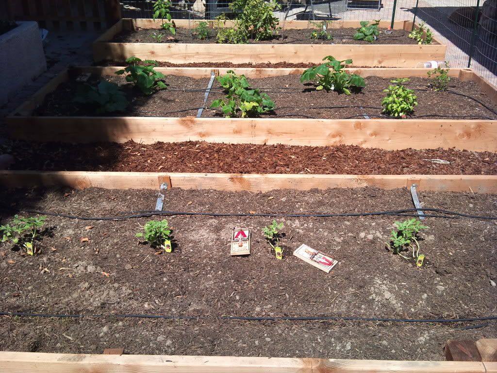 2011-09-07132919.jpg
